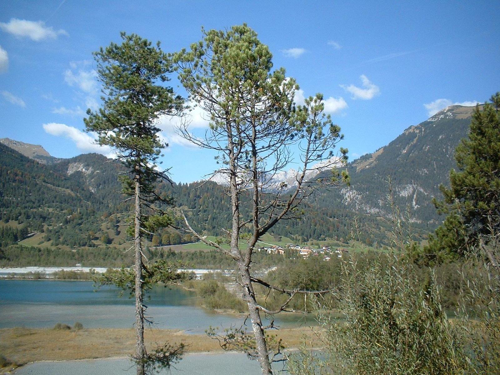 Ferienwohnungen Kathrein Reutte Exterior foto